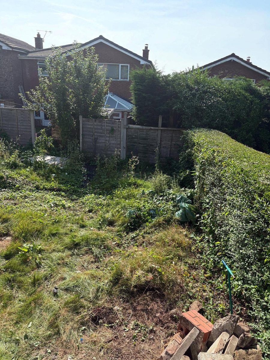 A back garden overgrown with tall grass and shrubs