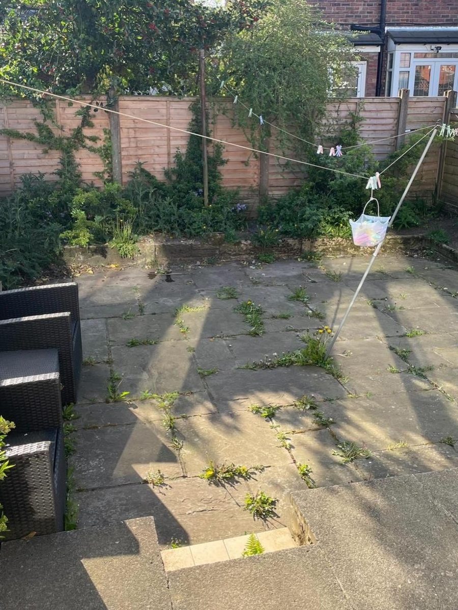 A back yard overgrown with weeds between the flags