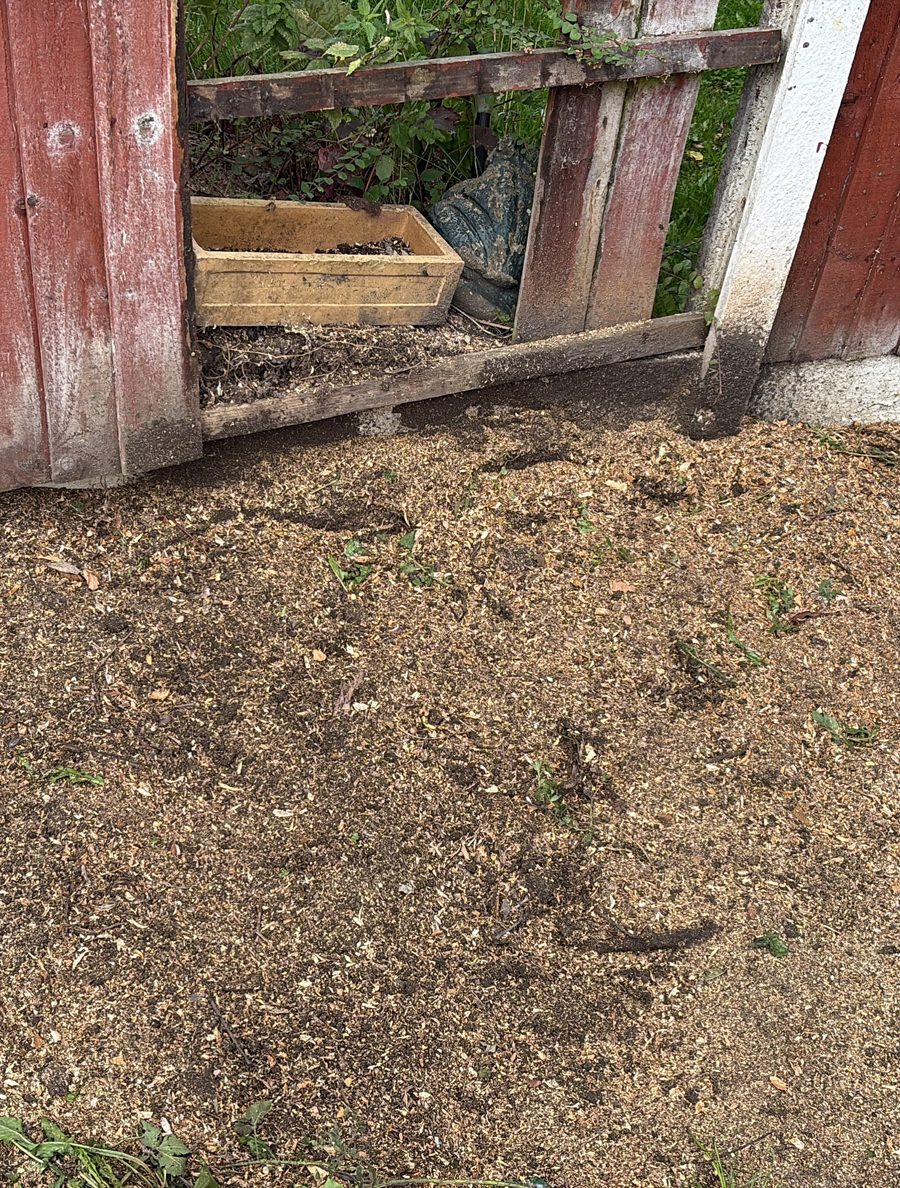 The same spot ground out to chippings, the planter box still behind the fence