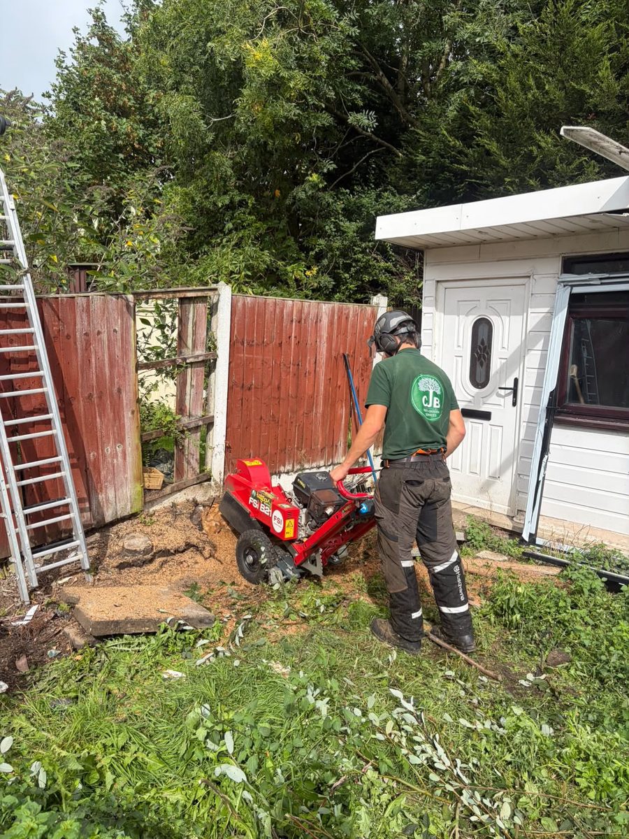 Charlie in his green CJB shirt, helmet and ear defenders on, grinding out a stump beside a fence